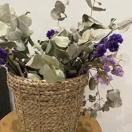 Apartamento Taima Flats *